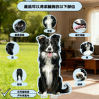 Paws on Earth 寵物潔身手套濕巾